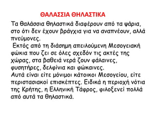 Τα θαλάσσια θηλαστικά διαφέρουν από τα ψάρια,
στο ότι δεν έχουν βράγχια για να αναπνέουν, αλλά
πνεύμονες.
Εκτός από τη διάσημη απειλούμενη Μεσογειακή
φώκια που ζει σε όλες σχεδόν τις ακτές της
χώρας, στα βαθειά νερά ζουν φάλαινες,
φυσητήρες, δελφίνια και φώκαινες.
Αυτά είναι είτε μόνιμοι κάτοικοι Μεσογείου, είτε
περιστασιακοί επισκέπτες. Ειδικά η περιοχή νότια
της Κρήτης, η Ελληνική Τάφρος, φιλοξενεί πολλά
από αυτά τα θηλαστικά.
ΘΑΛΑΣΣΙΑ ΘΗΛΑΣΤΙΚΑ
 