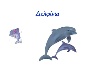 Δελφίνια
 