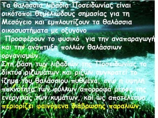 Τα θαλάσσια λιβάδια Ποσειδωνίας είναι
οικότοποι θεμελιώδους σημασίας για τη
Μεσόγειο και εμπλουτίζουν τα θαλάσσια
οικοσυστήματα με οξυγόνο
Προσφέρουν το φυσικό για την αναπαραγωγή
και την ανάπτυξη πολλών θαλάσσιων
οργανισμών.
Στη βάση των λιβαδιών της Ποσειδωνίας το
δίκτυο ριζωμάτων και ριζών συγκρατεί το
ίζημα του θαλάσσιου πυθμένα, ενώ η υψηλή
πυκνότητα των φύλλων απορροφά μέρος της
ενέργειας των κυμάτων, και ως αποτέλεσμα
περιορίζει φαινόμενα διάβρωσης παραλιών.
 