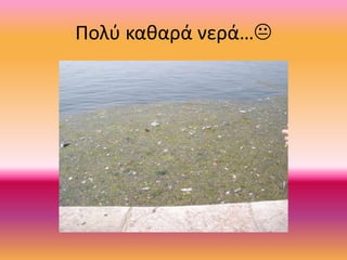 Πολύ καθαρά νερά…
 