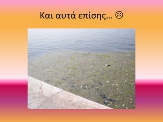 Και αυτά επίσης… 
 