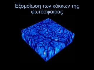 Εξομοίωση των κόκκων της
φωτόσφαιρας
 