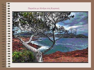 Παραλία με δένδρα στη Κορσική
 