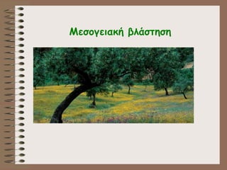 Μεσογειακή βλάστηση
 