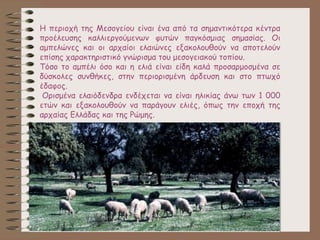 Η περιοχή της Μεσογείου είναι ένα από τα σημαντικότερα κέντρα
προέλευσης καλλιεργούμενων φυτών παγκόσμιας σημασίας. Οι
αμπελώνες και οι αρχαίοι ελαιώνες εξακολουθούν να αποτελούν
επίσης χαρακτηριστικό γνώρισμα του μεσογειακού τοπίου.
Τόσο το αμπέλι όσο και η ελιά είναι είδη καλά προσαρμοσμένα σε
δύσκολες συνθήκες, στην περιορισμένη άρδευση και στο πτωχό
έδαφος.
Ορισμένα ελαιόδενδρα ενδέχεται να είναι ηλικίας άνω των 1 000
ετών και εξακολουθούν να παράγουν ελιές, όπως την εποχή της
αρχαίας Ελλάδας και της Ρώμης.
 
