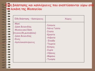 Είδη Βλάστησης – Καλλιέργειες Χώρες
-Μακί
-Δάση Βελανιδιάς
-Μεσογειακά δάση
(πευκοειδή,φυλλοβόλα)
-Δάση Βελανιδιάς
-Ελιές
-Αμπελοκαλλιέργειες
-Ισπανία
-Νότια Γαλλία
-Ιταλία
-Κροατία
-Αλβανία
- Ελλάδα
-Τουρκία
-Κύπρος
-Συρία
-Λίβανος
-Μαρόκο
-Τυνησία
Είδη βλάστησης και καλλιέργειες που αναπτύσσονται γύρω από
τη λεκάνη της Μεσογείου
 