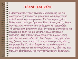 Παρατηρώντας τους πίνακες ζωγραφικής και τις
φωτογραφίες παρακάτω, μπορούμε να διακρίνουμε
πολλά κοινά χαρακτηριστικά. Σε όλα κυριαρχεί το
θαλασσινό τοπίο, με όμορφες δαντελωτές ακτές λόγω
των πολλών κόλπων που υπάρχουν και αμμουδιές.
Η μεσογειακή βλάστηση είναι έντονη με φυλλοβόλα και
πευκοειδή δάση και με μεγάλες καλλιεργήσιμες
εκτάσεις, στις οποίες καλλιεργούνται κυρίως ελιές,
αμπέλια και εσπεριδοειδή. Τα εδάφη είναι ξηρά, λόγω
της ζέστης που επικρατεί τους καλοκαιρινούς μήνες,
και βραχώδη. Κατά τη διάρκεια του καλοκαιριού ο
τουρισμός φτάνει στο αποκορύφωμά του, εξαιτίας των
πολλών αξιοθέατων και των πανέμορφων θέρετρων.
ΤΕΧΝΗ ΚΑΙ ΖΩΗ
 