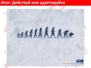 Итог: Действуй или адаптируйся
 