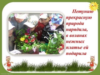 FokinaLida.75@mail.ru
Петунию
прекрасную
природа
нарядила,
в воланах
нежных
платье ей
подарила
 