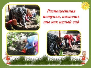 FokinaLida.75@mail.ru
Разноцветная
петунья, пахнешь
ты как целый сад
 