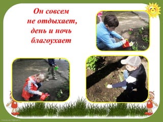 FokinaLida.75@mail.ru
Он совсем
не отдыхает,
день и ночь
благоухает
 