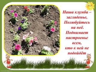 FokinaLida.75@mail.ru
Наша клумба –
загляденье,
Полюбуйтесь
на неё.
Поднимает
настроенье
всем,
кто к ней не
подойдёт
 