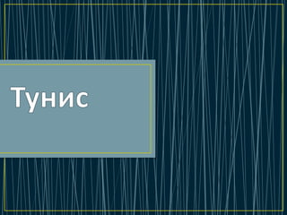 Тунис / Information: Tourism, Country, Nature, Ecology.
