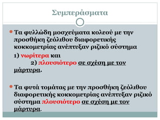 Συμπεράσματα
Τα φυλλώδη μοσχεύματα κολεού με την
προσθήκη ζεόλιθου διαφορετικής
κοκκομετρίας ανέπτυξαν ριζικό σύστημα
1) νωρίτερα και
2) πλουσιότερο σε σχέση με τον
μάρτυρα.
Τα φυτά τομάτας με την προσθήκη ζεόλιθου
διαφορετικής κοκκομετρίας ανέπτυξαν ριζικό
σύστημα πλουσιότερο σε σχέση με τον
μάρτυρα.
 