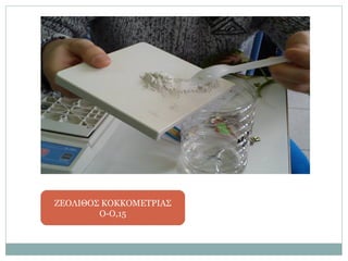 ΖΕΟΛΙΘΟΣ ΚΟΚΚΟΜΕΤΡΙΑΣ
Ο-Ο,15
 