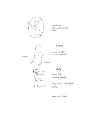 20 
 
นิ้วมือ
-Flexion: กํามือ
-Extension: เหยียดมือ
-Hyperextension: แอนนิ้วมือขึ้นให
มากที่สุด
-Abduction: กางนิ้วออก
ปลายแขน
-Pronation: คว่ําฝามือลง
-Supination: หงายฝามือขึ้น
-Circumduction:
เหยียดแขน แลวแกวงแขนเปนวง
โดยรอบ
Pronation
Supination
 