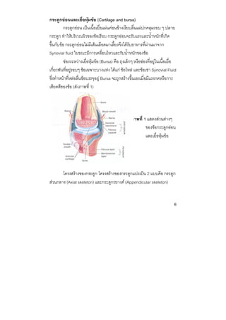 6 
 
กระดูกออนและเยื่อหุมขอ (Cartilage and bursa)
กระดูกออน เปนเนื้อเยื่อแผนคอนขางเรียบลื่นแผปกคลุมรอบ ๆ ปลาย
กระดูก ทําใหบริเวณผิวของขอเรียบ กระดูกออนจะรับแรงและน้ําหนักที่เกิด
ขึ้นกับขอ กระดูกออนไมมีเสนเลือดมาเลี้ยงจึงไดรับอาหารที่ผานมาจาก
Synovial fluid ในขณะมีการเคลื่อนไหวและรับน้ําหนักของขอ
ชองระหวางเยื่อหุมขอ (Bursa) คือ ถุงเล็กๆ หรือชองที่อยูในเนื้อเยื่อ
เกี่ยวพันที่อยูรอบๆ ขอเฉพาะบางแหง ไดแก ขอไหล และขอเขา Synovial Fluid
ซึ่งทําหนาที่หลอลื่นขอบรรจุอยู Bursa จะถูกสรางขึ้นเองเมื่อมีแรงกดหรือการ
เสียดสีของขอ (ดังภาพที่ 1)
โครงสรางของกระดูก โครงสรางของกระดูกแบงเปน 2 แบบคือ กระดูก
สวนกลาง (Axial skeleton) และกระดูกรยางค (Appendicular skeleton)
ภาพที่ 1 แสดงสวนตางๆ
ของขอกระดูกออน
และเยื่อหุมขอ
 