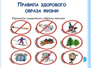 ПРАВИЛА ЗДОРОВОГО
ОБРАЗА ЖИЗНИ
 