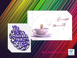 Wafa_wafaa@hotmail.com
 