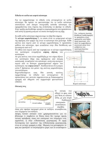 58
,
.
:
.
C,
.
C
,
C.
.
,
(
), ,
, F.
F
.
.
.
,
,
,
,
.
,
, .
:
,
( )
,
,
.
 