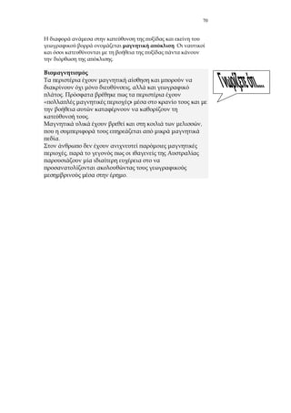 70
.
.
,
.
»
.
,
.
,
.
 