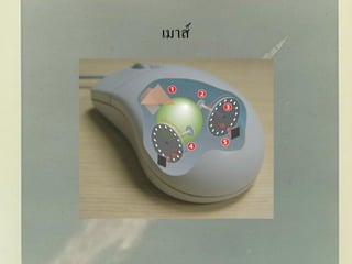 เมาส์
 