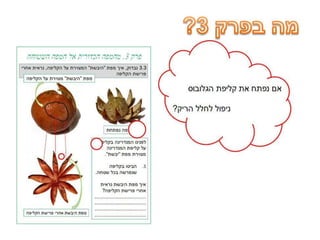 דפי נחיתה סגורים גלובוס