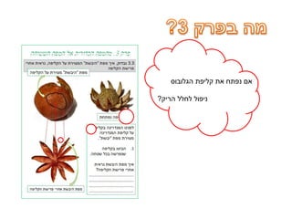 ‫הגלובוס‬ ‫קליפת‬ ‫את‬ ‫נפתח‬ ‫אם‬
‫הריק‬ ‫לחלל‬ ‫ניפול‬?
 