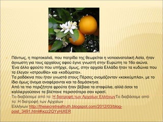✕ Πάντως, η πορτοκαλιά, που πατρίδα της θεωρείται η νοτιοανατολική Ασία, ήταν
άγνωστη για τους αρχαίους αφού έγινε γνωστή ...