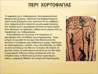 ✕
✕ Ο ορφισμός και ο πυθαγορισμός, δύο αρχαιοελληνικά
θρησκευτικά ρεύματα, πρότειναν ένα διαφοροποιημένο
τρόπο ζωής βασισμ...