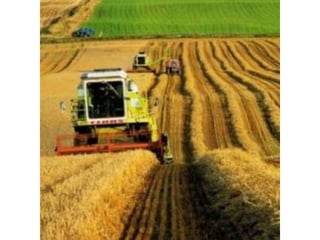 Фотоальбом "Кіровоградщина - мій рідний край"