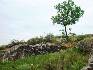 Фотоальбом "Кіровоградщина - мій рідний край"