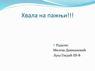 Хвала на пажњи!!!
 Радили:
Милош Дамњановић
Лука Гледић III-8
 