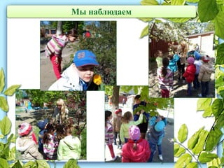 Мы наблюдаем
 