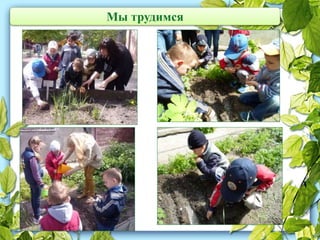 Мы трудимся
 