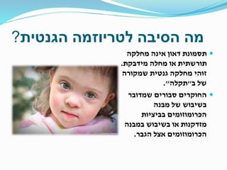 ‫הסיבה‬ ‫מה‬‫לטריוזמה‬‫הגנטית‬?
‫מחלקה‬ ‫אינה‬ ‫דאון‬ ‫תסמונת‬
‫מידבקת‬ ‫מחלה‬ ‫או‬ ‫תורשתית‬.
‫שמקורה‬ ‫גנטית‬ ‫מחלקה‬ ‫זוהי‬
‫ב‬ ‫של‬"‫תקלה‬."
‫שמדובר‬ ‫סבורים‬ ‫החוקרים‬
‫מבנה‬ ‫של‬ ‫בשיבוש‬
‫בביציות‬ ‫הכרומוזומים‬
‫במבנה‬ ‫בשיבוש‬ ‫או‬ ‫מזדקנות‬
‫הגבר‬ ‫אצל‬ ‫הכרומוזומים‬.
 