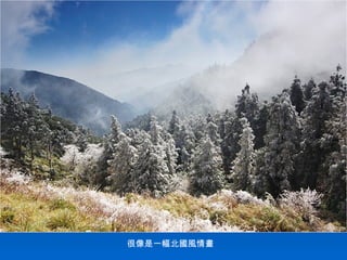 很像是一幅北國風情畫
 