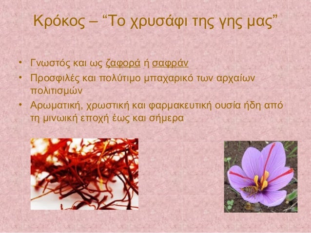 ÎÏÏÎºÎ¿Ï â âΤο ÏÏÏ
ÏάÏι ÏÎ·Ï Î³Î·Ï Î¼Î±Ïâ
⢠ÎνÏÏÏÏÏ ÎºÎ±Î¹ ÏÏ Î¶Î±ÏοÏά ή ÏαÏÏάν
⢠ΠÏοÏÏιλÎÏ ÎºÎ±Î¹ ÏολÏÏιμο μÏαÏαÏÎ¹ÎºÏ ÏÏν αÏÏαίÏν
ÏολιÏιÏμ...