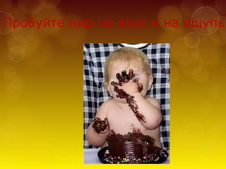 Пробуйте мир на вкус и на ощупь
 