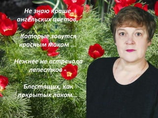 Не знаю краше
ангельских цветов,
Которые зовутся
красным маком ...
Нежнее не встречала
лепестков -
Блестящих, как
покрытых лаком…
 