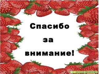 Спасибо
за
внимание!
 