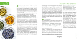 76
Знакомимся с кожей
Ухаживайте за собой, используя косметические продукты TianDe, и соответствуй-
те главному тренду — тренду красоты и молодости. Ваша кожа этого заслуживает!
Кожа — это «конверт» человеческого тела, содержащий описание всей его биогра-
фии и являющийся его защитником. Кожа испытывает огромные нагрузки: сухость
воздуха в помещении, уличные холод и жара, загрязненный воздух, палящее солн-
це — все эти факторы ведут к возникновению проблем.
По количеству и разнообразию выполняемых функций кожа значительно превос-
ходит остальные органы. Она играет роль третьего легкого  — дышит, благодаря
чему поддерживается постоянная температура внутренних органов. Кроме того,
кожу можно сравнить с пограничной службой: она отделяет внутренние органы от
внешнего мира, одновременно позволяя им находиться в контакте. Так, кожный
покров препятствует проникновению в организм вредных микробов, химикатов, а
также выводит токсины и продукты тканевого обмена, участвует в водно-солевом,
углеводном, белковом обменах. Кроме того, кожа выполняет регуляторную функ-
цию (регулирует синтез витамина D, необходимого для роста и снабжения костей
кальцием); информационную (передает сигналы в мозг при помощи 500 нервных
рецепторов, расположенных на каждом ее квадратном сантиметре); иммунную (ос-
новными элементами иммунной системы кожи являются клетки Лангерганса); тер-
морегулирующую (регулирует обмен тепла между организмом и внешней средой:
при сужении сосудов тепло задерживается в организме, при расширении происхо-
дит его отдача).
Строение кожи
Кожа — самый большой орган: ее площадь у взрослого человека в среднем состав-
ляет 2 квадратных метра, а ее масса примерно в 3 раза превосходит массу печени
(наиболее крупного органа человеческого организма) и составляет около 15% от
общего веса тела.
Кожа имеет около 150 нервных окончаний, более
чем 3 миллиона клеток, около 100-300 потовых
желез и 1 километр кровеносных сосудов. Сосу-
дистая система кожи вмещает треть всей крови,
циркулирующей в организме, — 1,6 литра.
Кожа состоит из трех основных слоев — надкожицы (эпидермиса), собственно кожи
(дермы) и подкожно-жировой клетчатки.
Эпидермис — это верхний, самый тонкий слой: его толщина сопоставима с толщи-
ной листа плотной бумаги, но именно эпидермис обеспечивает многие защитные
свойства кожи. Он состоит из пяти слоев клеток, в самом нижнем — базальном (за-
родышевом) — протекают обменные процессы и образуются новые клетки. Посте-
пенно перемещаясь вверх, они теряют ядро и становятся роговыми. Таким образом,
верхний (роговой) слой эпидермиса состоит из «мертвых» клеток, отшелушиваю-
щихся в ходе непрерывного процесса обновления кожи.
Кроме представляющих большинство кератиноцитов в эпидермисе существуют
меланоциты, выполняющие пигментообразующую функцию, клетки Лангерганса и
лимфоциты.
Человек ежедневно теряет око-
ло 1 грамма роговых чешуек.
Именно из них состоит большая
часть домашней пыли — 70%.
Кожа, которую человек «сбрасы-
вает» за всю жизнь, может ве-
сить до 18 килограммов.
Дерма состоит из двух слоев — сосочкового и сетча-
того. Сосочковый слой получил свое название из-за
многочисленных сосочков, вдающихся в эпидермис.
Они определяют рисунок на поверхности кожи, име-
ющий индивидуальный характер. Этот факт применя-
ется в криминалистике при распознавании отпечатков
пальцев. Сетчатый слой дермы образован мощными
пучками коллагеновых волокон и сетью эластических
волокон. Главные клетки дермы  — фибробласты  —
своеобразная «фабрика» по производству эластина,
коллагена и гиалуроновой кислоты.
Пучки коллагеновых волокон в основном проходят в
двух направлениях: одни из них лежат перпендику-
лярно поверхности кожи, другие — косо. Вместе они
образуют сеть, строение которой определяется функ-
циональной нагрузкой на кожу. На участках, испытыва-
ющих сильное давление (стопы, подушечки пальцев,
локти и др.), хорошо развита широкоячеистая, грубая
сеть коллагеновых волокон. А там, где кожа подвер-
гается значительному растяжению (тыльная сторона
стопы, лицо и т. д.), в сетчатом слое обнаруживается
более нежная коллагеновая сеть. Эластические волок-
на повторяют ход коллагеновых волокон.
Волокна коллагена и эластина формируют опорный
каркас кожи и вместе с межклеточным веществом
придают ей упругость и прочность. Каркас напоминает
трехмерную сеть, к которой прикрепляются все струк-
турные компоненты дермы и клетки.
Косметические средства TianDe по уходу
за кожей лица
Косметические средства компании TianDe  — это синтез новейших достижений
науки и многовекового опыта традиционной китайской медицины. Секреты вос-
точных целителей вызывают искреннее восхищение ученых и врачей всего мира
и превосходят по своей эффективности многие современные фармакологические
препараты и терапевтические процедуры. В арсенале традиционной китайской
медицины более 5000 целебных компонентов растительного и животного проис-
хождения. Многие из них уникальны по своему действию, за что высоко ценятся
на Западе и в Европе, — это женьшень, кордицепс, зеленый чай, гриб линчжи,
гриб шиитаке, плацента и др.
Древнейшие рецепты китайской медицины, отточенные пятью тысячелетиями,
в тандеме с современными технологиями приобретают еще большую эффектив-
ность, что позволяет решать самые сложные косметические задачи.
Косметические продукты TianDe производятся на
крупнейших предприятиях Китая в соответствии
с мировыми стандартами качества (ISO 9001:2002
и GMP).
Представьте, что косметические компоненты  — это одушевленные предметы.
Попадая в баночку с кремом или тоником, они начинают взаимодействовать и
общаться. Такое общение рождает то новое, к чему при всем своем желании не
смог бы прийти каждый из компонентов в одиночку. Это напоминает игру сим-
фонического оркестра: музыка, рождающаяся благодаря слаженной игре 100 му-
зыкантов, является чем-то гораздо большим, нежели просто набор звуков. И ни
один музыкант не может воспроизвести такого звучания в одиночку. Описанное
иллюстрирует принцип синергии, лежащий в основе продукции TianDe.
Сложение различных компонентов в косметических композициях TianDe дает не
просто сумму, но совершенно новое качество, обеспечивающее наибольшую эф-
фективность средств.
Косметические продукты TianDe направлены на поддержание и восстановление
собственных механизмов работы кожи. Они призваны повысить ее защитные
функции, а не выполнять эту работу вместо нее. Это достигается благодаря вос-
становлению природного равновесия, усилению иммунитета и защитных функ-
ций кожи. Влиять на причину, а не на следствие проблем — на этом принципе
построена традиционная китайская медицина. Самостоятельно справляться с
нарушением процессов жизнедеятельности коже помогают косметологические
программы на основе фитозащитных комплексов, растительных биопротеинов и
керамидов, морских биокомплексов, пептидов и мн. др.
Косметические линии компании TianDe основаны на системном подходе к со-
хранению красоты кожи. Поверхностное очищение, систематическое глубокое
очищение, тонизирование, увлажнение и защита, необходимые молодой коже,
со временем гармонично дополняются процедурами интенсивного питания, вос-
становления кожного покрова на клеточном уровне и лифтинга. Формула каждого
средства разрабатывается с учетом типа кожи, ее чувствительности, возраста и
существующих проблем.
 