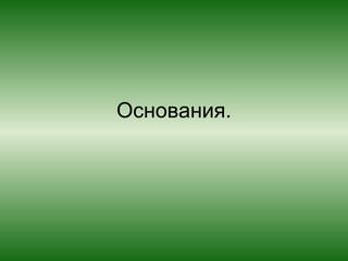 Основания.
 