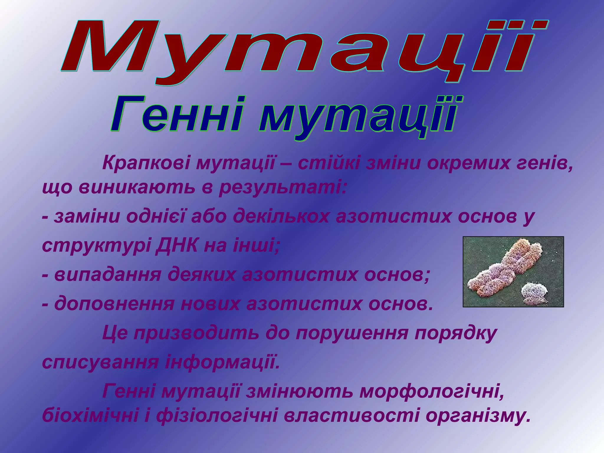 Крапкові мутації – стійкі зміни окремих генів,
що виникають в результаті:
- заміни однієї або декількох азотистих основ у
структурі ДНК на інші;
- випадання деяких азотистих основ;
- доповнення нових азотистих основ.
Це призводить до порушення порядку
списування інформації.
Генні мутації змінюють морфологічні,
біохімічні і фізіологічні властивості організму.
 