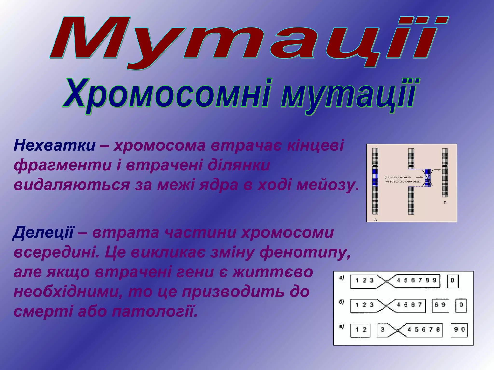 Нехватки – хромосома втрачає кінцеві
фрагменти і втрачені ділянки
видаляються за межі ядра в ході мейозу.
Делеції – втрата частини хромосоми
всередині. Це викликає зміну фенотипу,
але якщо втрачені гени є життєво
необхідними, то це призводить до
смерті або патології.
 