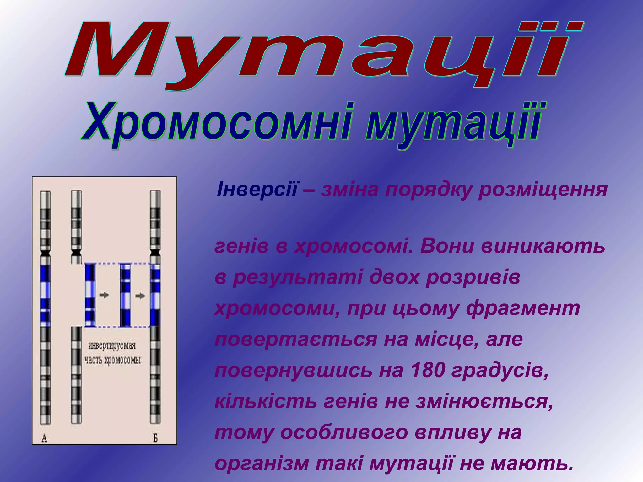 Інверсії – зміна порядку розміщення
генів в хромосомі. Вони виникають
в результаті двох розривів
хромосоми, при цьому фрагмент
повертається на місце, але
повернувшись на 180 градусів,
кількість генів не змінюється,
тому особливого впливу на
організм такі мутації не мають.
 