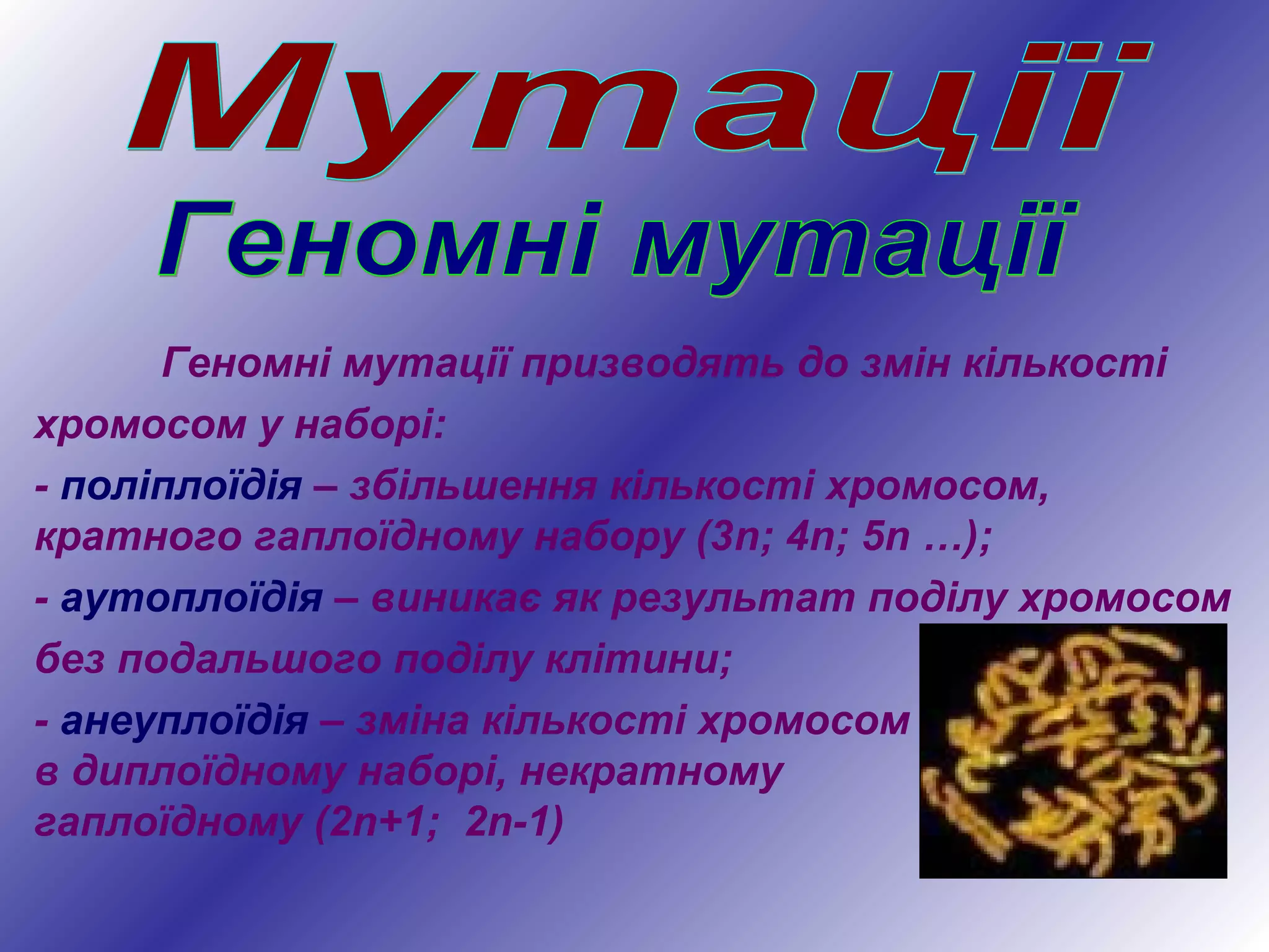 Геномні мутації призводять до змін кількості
хромосом у наборі:
- поліплоїдія – збільшення кількості хромосом,
кратного гаплоїдному набору (3n; 4n; 5n …);
- аутоплоїдія – виникає як результат поділу хромосом
без подальшого поділу клітини;
- анеуплоїдія – зміна кількості хромосом
в диплоїдному наборі, некратному
гаплоїдному (2n+1; 2n-1)
 