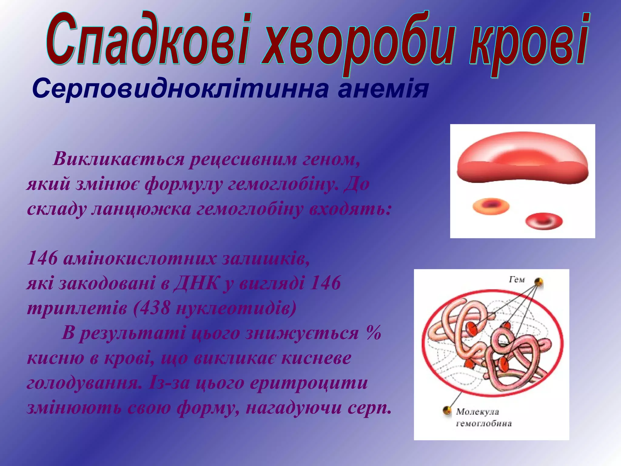 Серповидноклітинна анемія
Викликається рецесивним геном,
який змінює формулу гемоглобіну. До
складу ланцюжка гемоглобіну входять:
146 амінокислотних залишків,
які закодовані в ДНК у вигляді 146
триплетів (438 нуклеотидів)
В результаті цього знижується %
кисню в крові, що викликає кисневе
голодування. Із-за цього еритроцити
змінюють свою форму, нагадуючи серп.
 