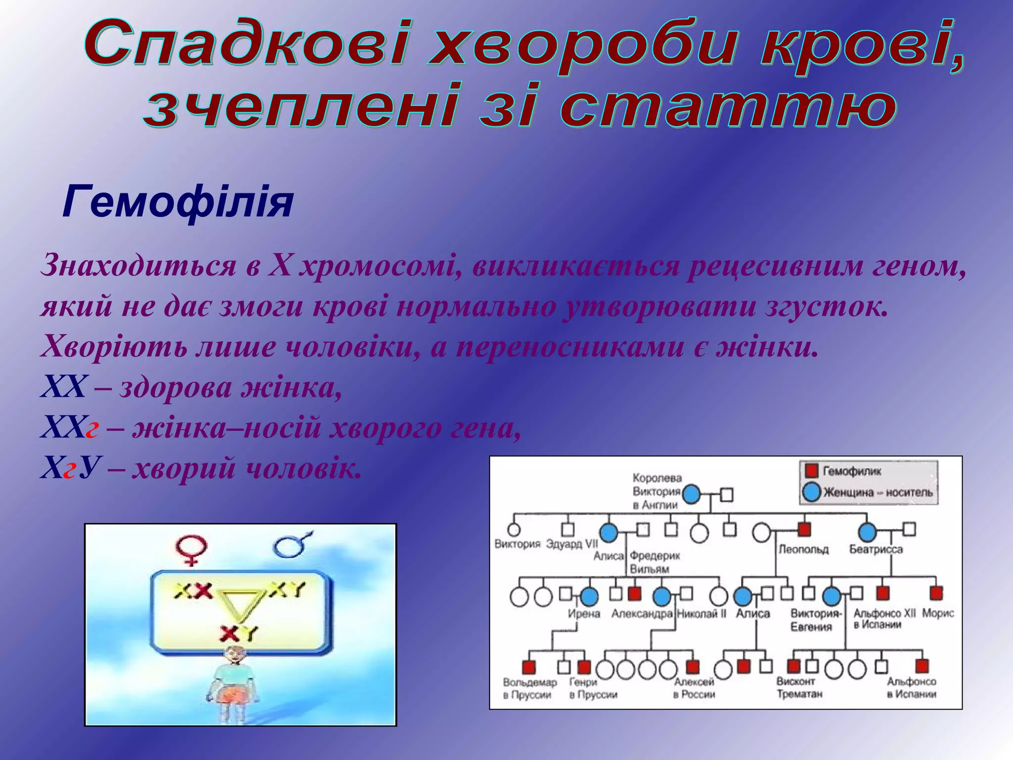 Знаходиться в Х хромосомі, викликається рецесивним геном,
який не дає змоги крові нормально утворювати згусток.
Хворіють лише чоловіки, а переносниками є жінки.
ХХ – здорова жінка,
ХХг – жінка–носій хворого гена,
ХгУ – хворий чоловік.
Гемофілія
 