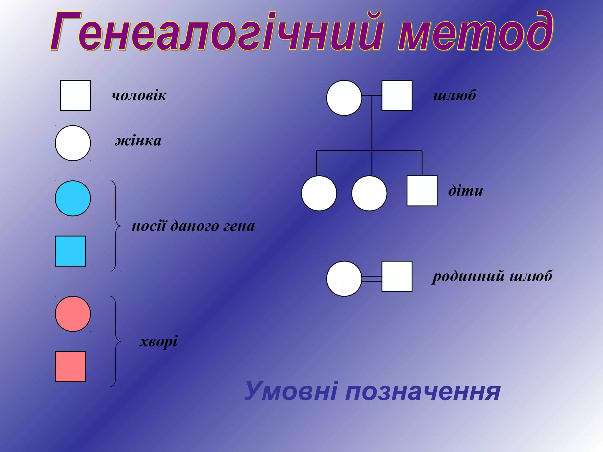 Умовні позначення
чоловік
жінка
носії даного гена
хворі
шлюб
діти
родинний шлюб
 
